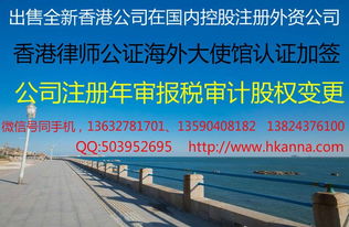 大灣區(qū)注冊外資公司離岸公司注冊