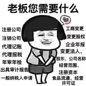 為客戶快速辦理個人獨資企業(yè).