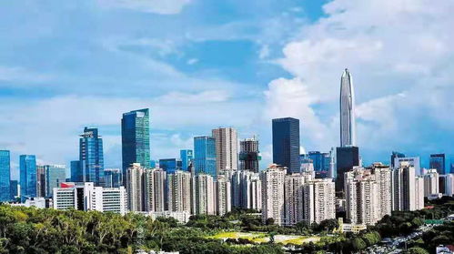 注冊(cè)一家公司 沒有會(huì)計(jì)怎么辦