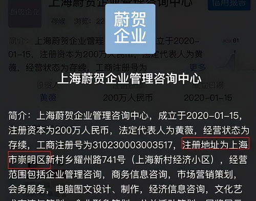 薇婭被罰了13億,帶貨一姐費盡心思逃的稅,終究是白給