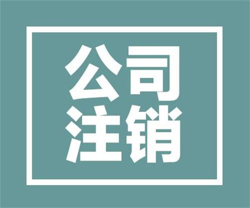 金牛區(qū)人民北路代理記賬公司排名法人是不是必須是股東