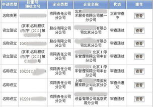 怎樣注冊北京分公司
