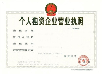 個人獨資企業(yè)