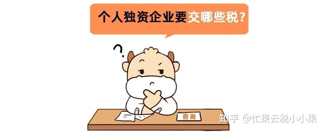 個(gè)人獨(dú)資企業(yè)