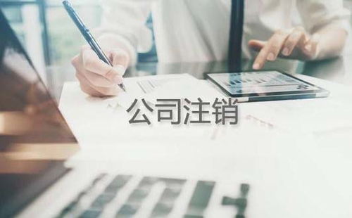 教育培訓(xùn)公司注銷專業(yè)知識(shí)詳解