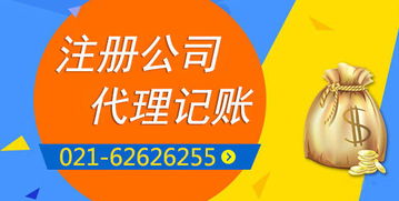 上海奉賢區(qū)外資公司注冊(cè)
