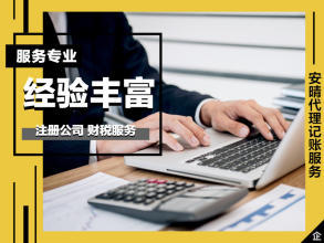財(cái)稅服務(wù) 代理記賬 內(nèi)資小規(guī)模記賬等 注冊(cè)公司 代理記賬