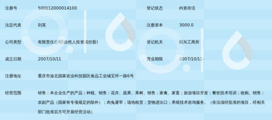 重慶阿興記食品