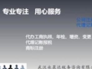 圖 工商年檢公司年報(bào)內(nèi)資公司年報(bào)等代理記賬網(wǎng)上報(bào)稅 武漢工商注冊(cè)