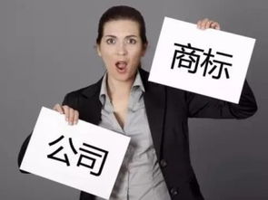 圖 廣州公司注冊(cè) 內(nèi)資公司注冊(cè) 提供注冊(cè)地址等 廣州工商注冊(cè)